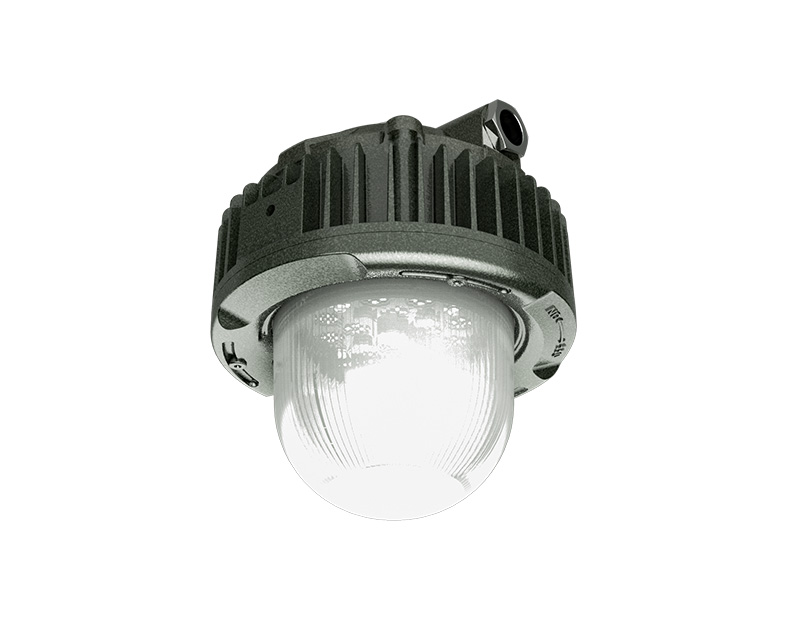 45W Explosion proof hanging lamp