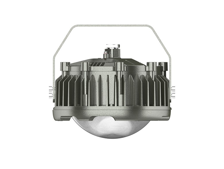 OHBF820 (50~100W) Explosion proof hanging lamp