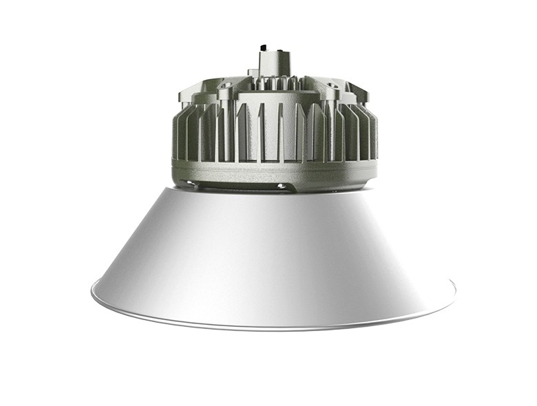 OHBF820 (50~80W) (Short) Explosion proof hanging lamp