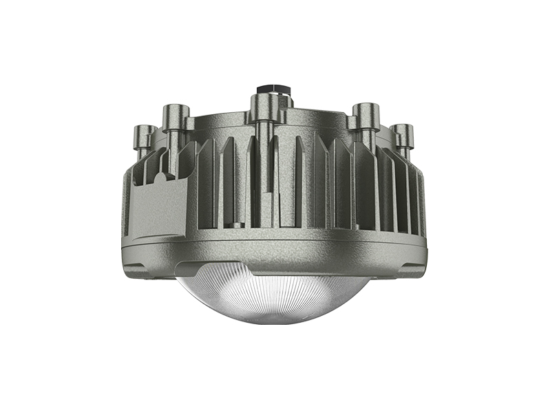 OHBF820 (50~100W) Explosion proof hanging lamp
