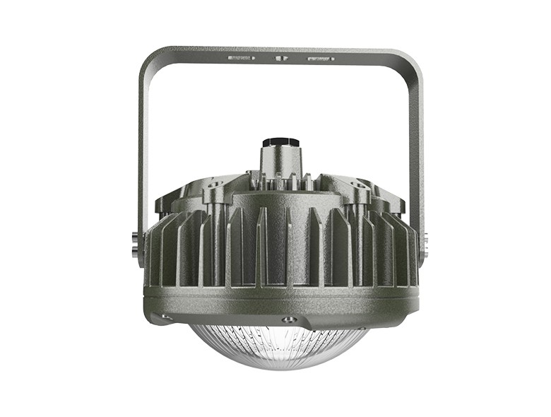 OHBF820 (50~80W) (Short) Explosion proof hanging lamp