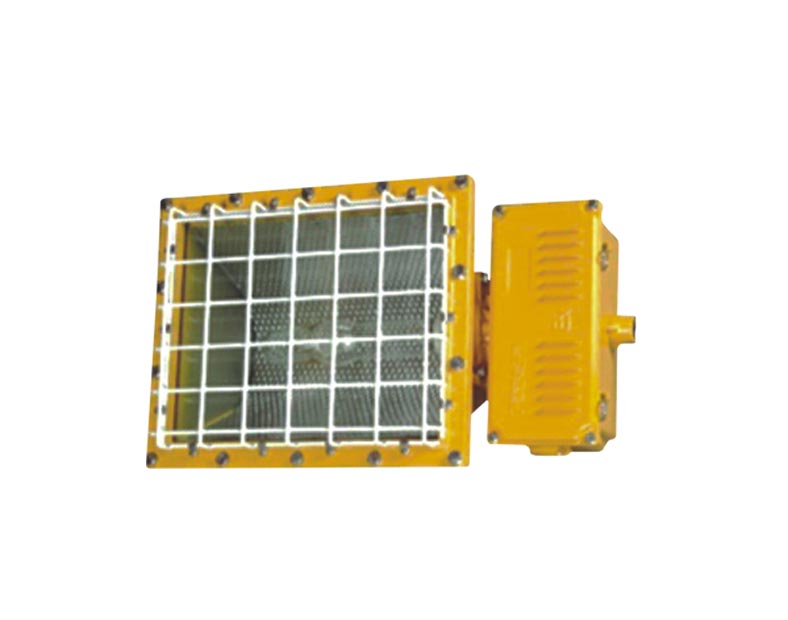 OHBJ6119 (250/400W) Explosion Proof metal halide lamp