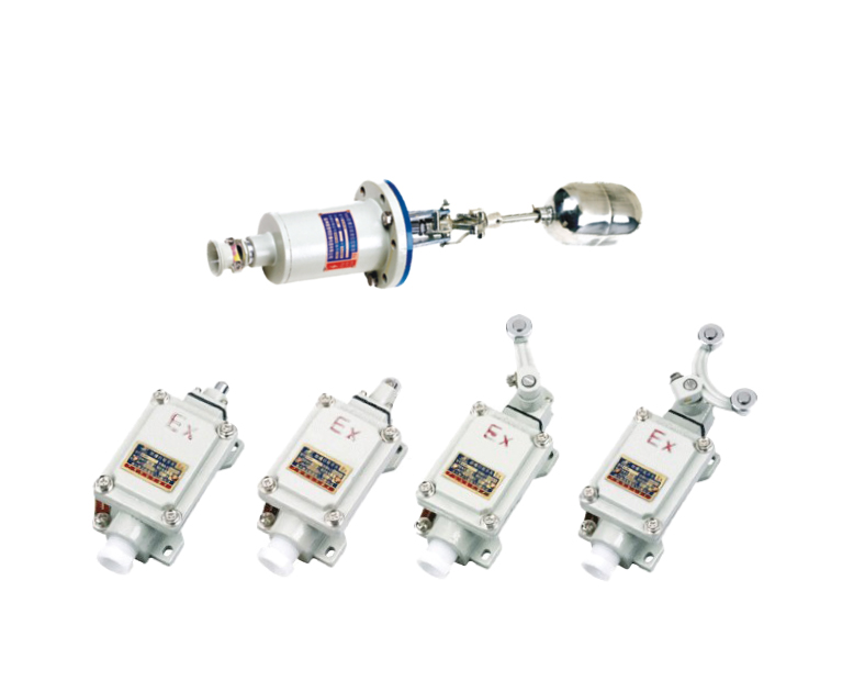 OBLX Explosion proof travel switch