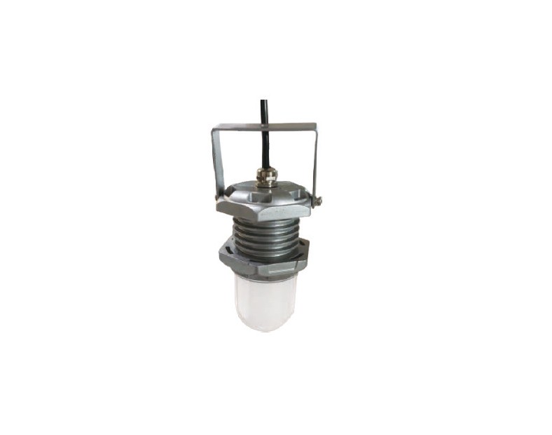 OHJW5161 (10W) Explosion proof working light