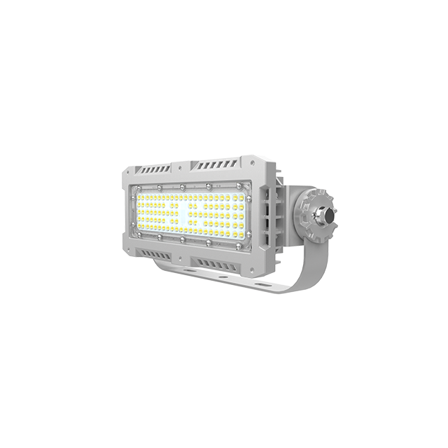 OHSF9770 (80~100W) Led Flood Light factory light