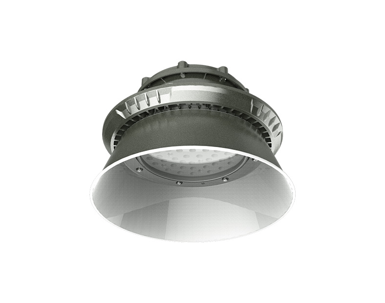 custom explosion proof light
