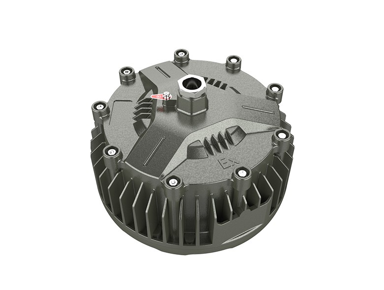 OHBF820 (50~100W) Explosion proof hanging lamp