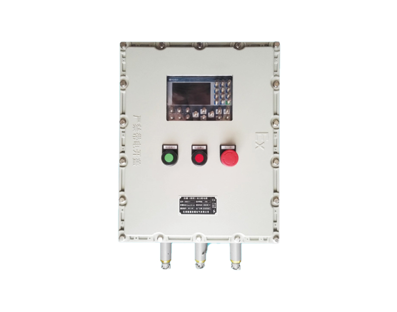 BXY Explosion proof instrument box