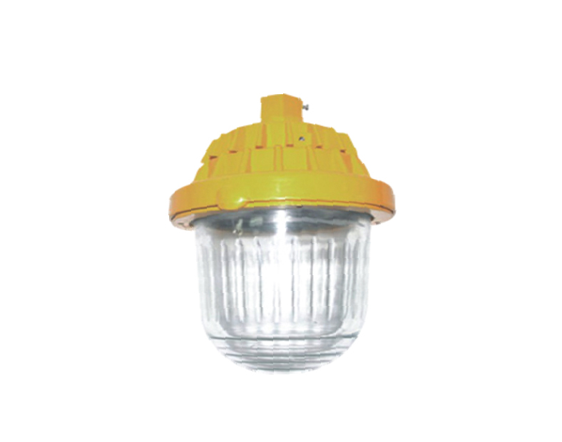 OHBJ6113 (35/70/100/150W) Explosion Proof metal halide lamp
