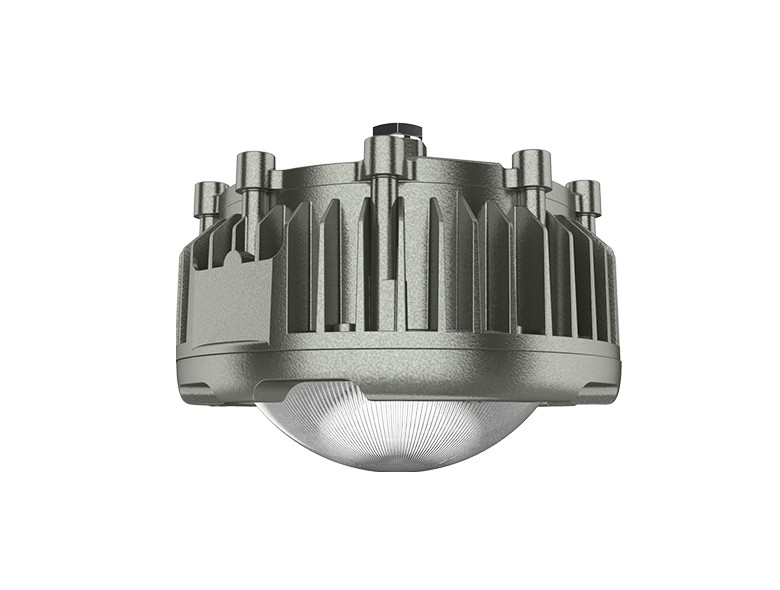 OHBF820 (50~100W) Explosion proof hanging lamp