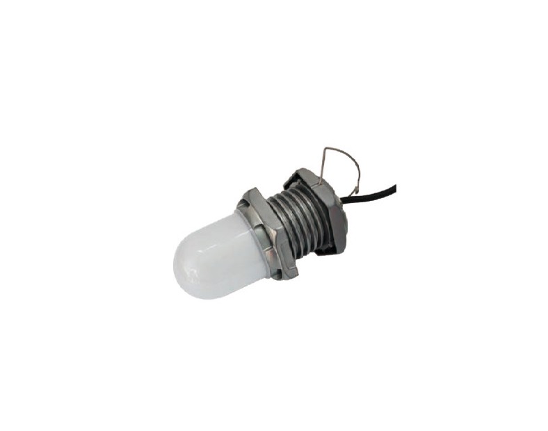 OHJW5161 (10W) Explosion proof working light