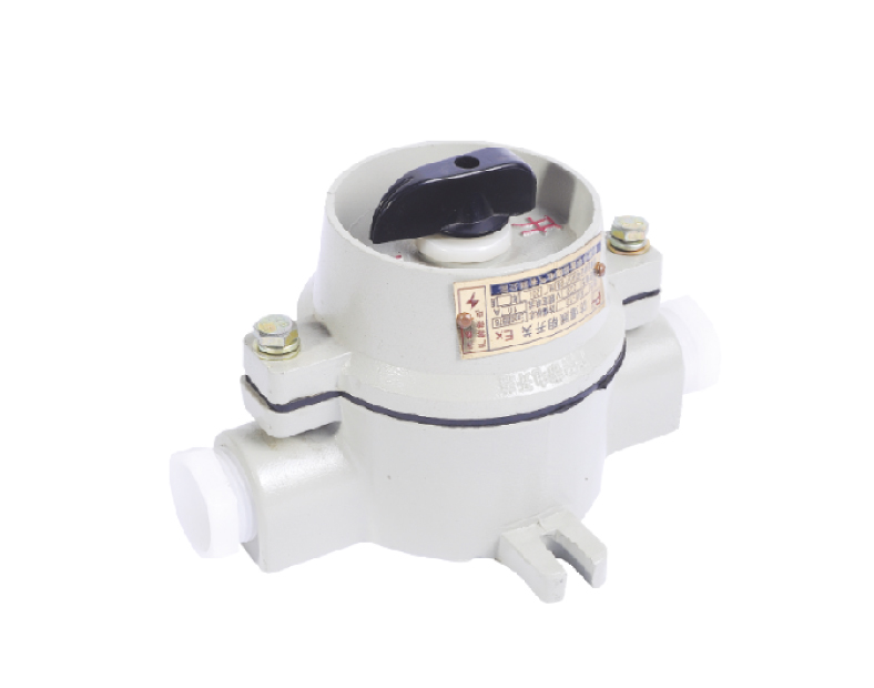 SW Explosion proof lighting switch